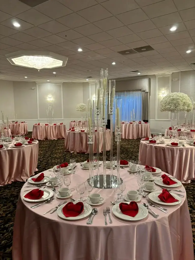 Valentine themed party event rentals in Chicago Orland Park Tinley Park IL